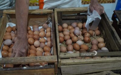 Inflasi Kota Madiun Turun Dibanding April, Telur Ayam Jadi Penyumbang Tertinggi Tiga Bulan Terakhir